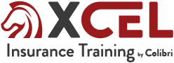 EXCEL Logo