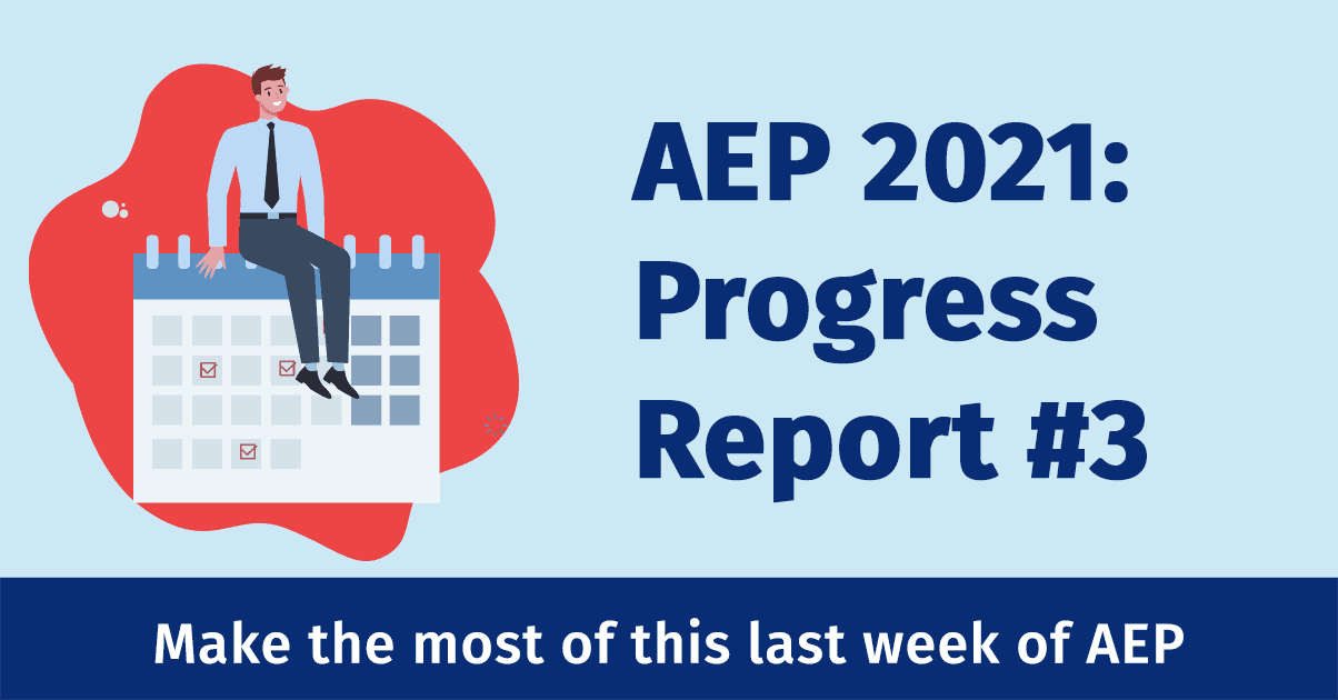 AEP Progress Report #3